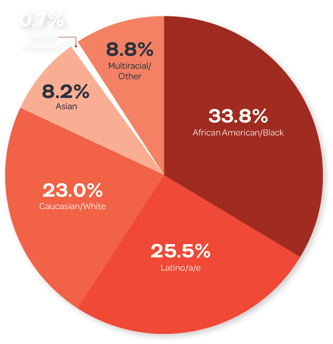 FY24 Annual Report diversity pie